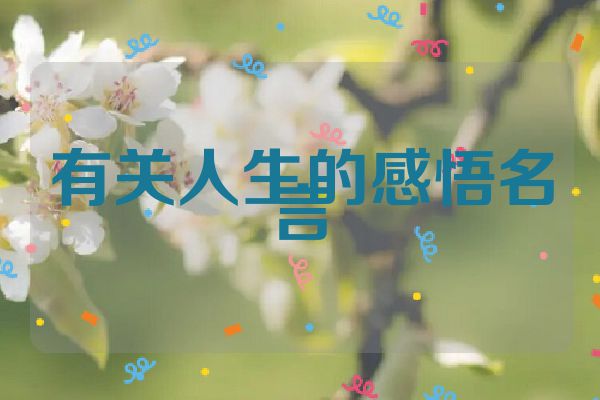 有关人生的感悟名言