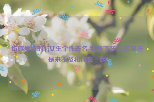 伤感爱情的qq女生个性签名 我等了好久 结果还是来不及和你在一起