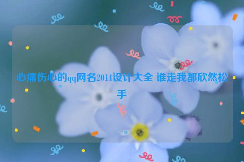 心痛伤心的qq网名2014设计大全 谁走我都欣然松手