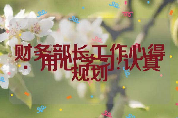 财务部长工作心得：用心学习?认真规划