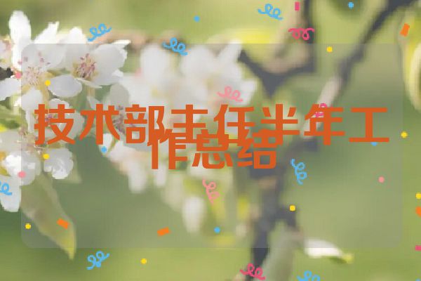 技术部主任半年工作总结