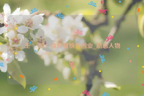 王�S明：挥开臂膀去创业_励志人物