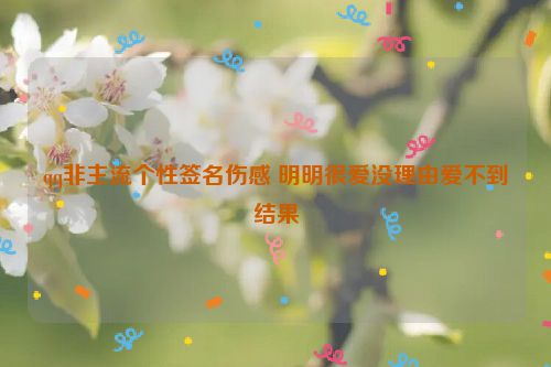 qq非主流个性签名伤感 明明很爱没理由爱不到结果