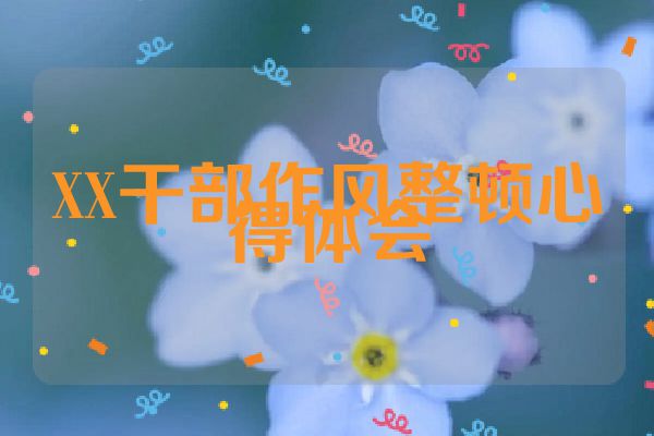 XX干部作风整顿心得体会