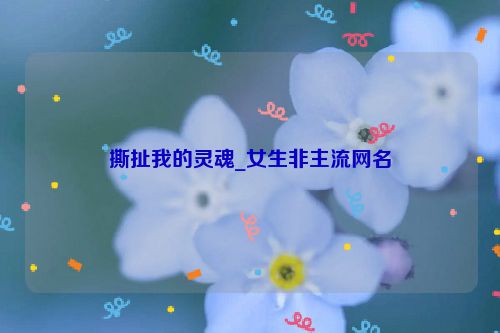 撕扯我的灵魂_女生非主流网名