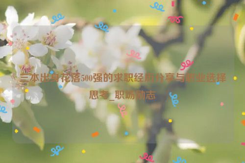 三本出身花落500强的求职经历分享与职业选择思考_职场励志