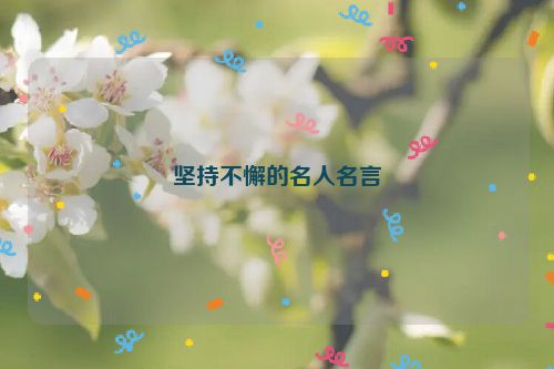 坚持不懈的名人名言