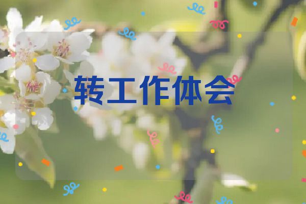 转工作体会