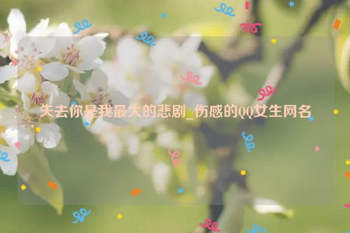 失去你是我最大的悲剧_伤感的QQ女生网名