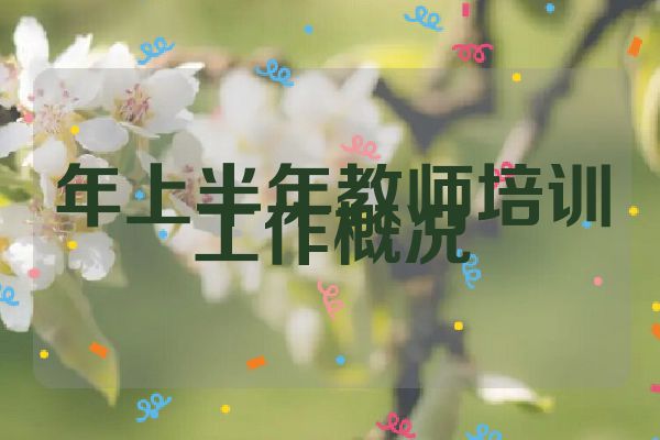 年上半年教师培训工作概况