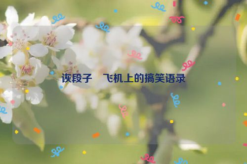 诙段子・飞机上的搞笑语录