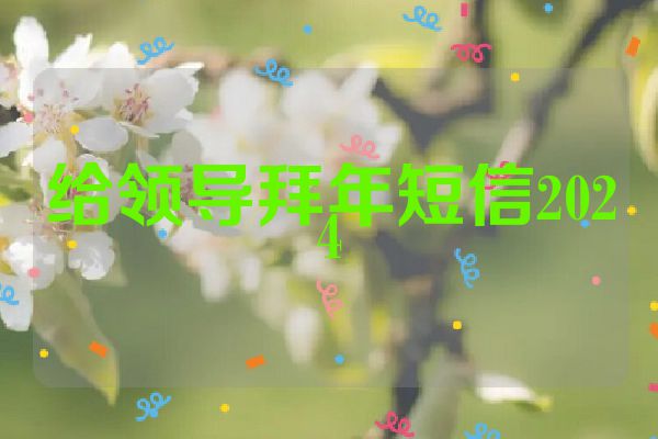 给领导拜年短信2024