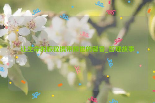 让生命的旅程携带倾世的馨香_哲理故事