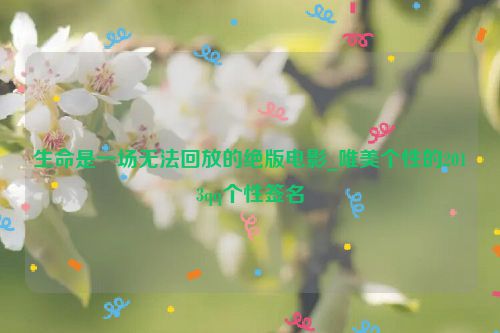 生命是一场无法回放的绝版电影_唯美个性的2013qq个性签名