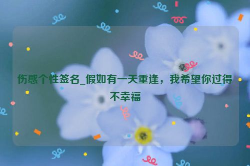 伤感个性签名_假如有一天重逢，我希望你过得不幸福