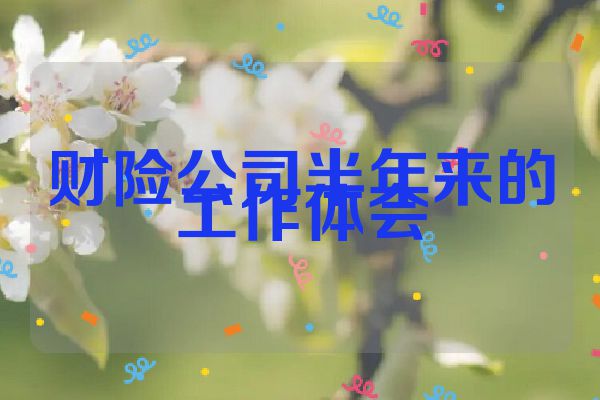 财险公司半年来的工作体会