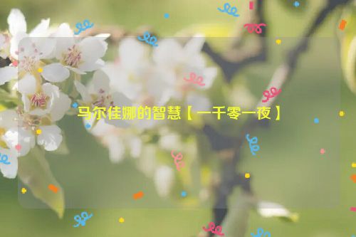 马尔佳娜的智慧【一千零一夜】