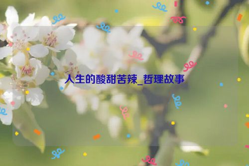 人生的酸甜苦辣_哲理故事