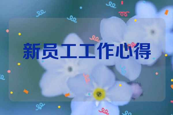 新员工工作心得