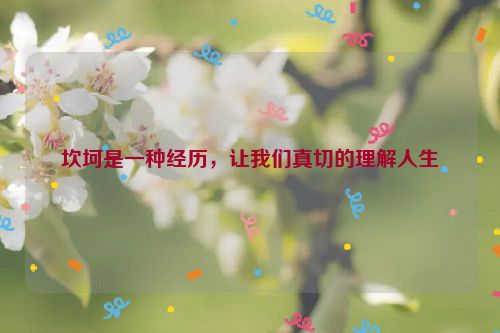 坎坷是一种经历，让我们真切的理解人生