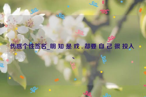 伤感个性签名_明 知 是 戏 , 却要 自 己 很 投入 、