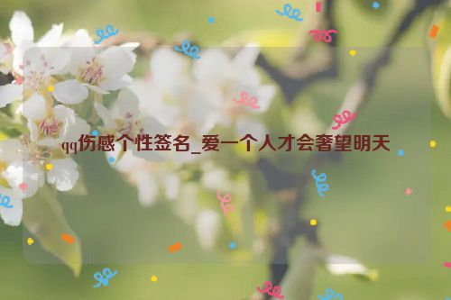 qq伤感个性签名_爱一个人才会奢望明天