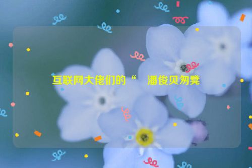 互联网大佬们的“�潘俊贝匆凳�
