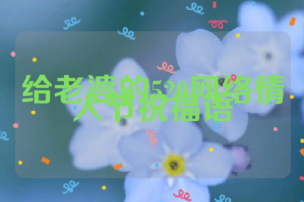 给老婆的520网络情人节祝福语