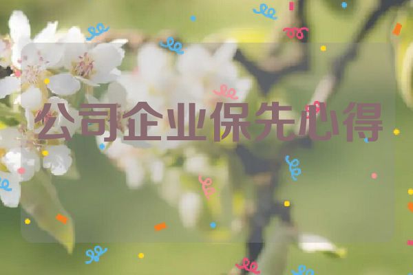 公司企业保先心得