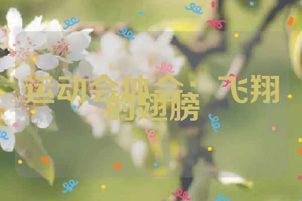 运动会体会：飞翔的翅膀