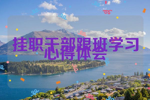 挂职干部跟班学习心得体会
