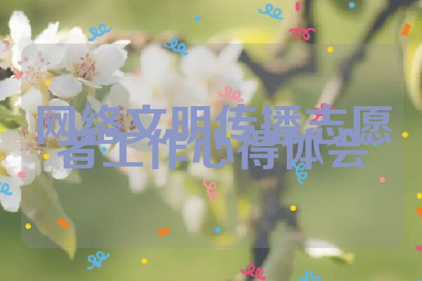 网络文明传播志愿者工作心得体会
