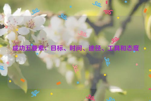 成功五要素：目标、时间、途径、工具和态度