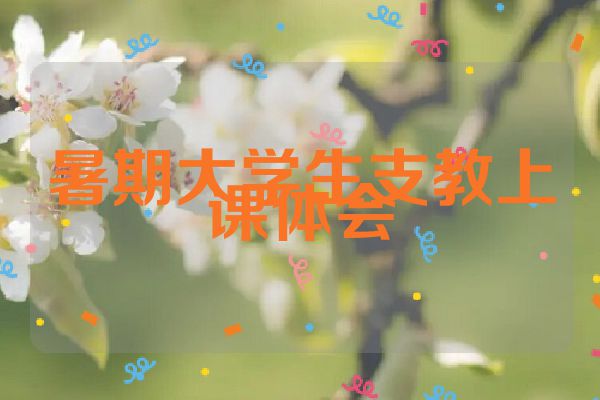暑期大学生支教上课体会