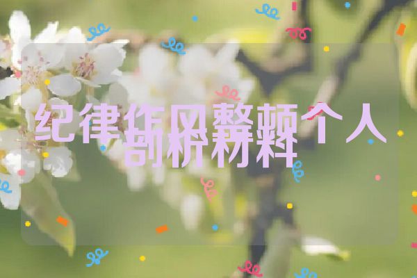 纪律作风整顿个人剖析材料
