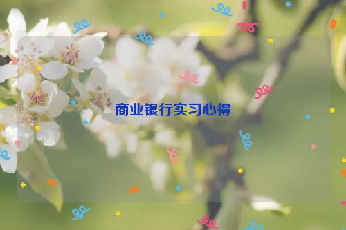 商业银行实习心得