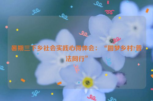暑期三下乡社会实践心得体会：“圆梦乡村?普法同行”