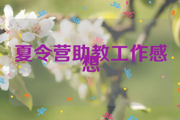 夏令营助教工作感想