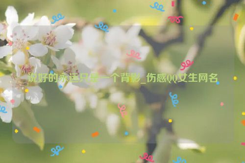 说好的永远只是一个背影_伤感QQ女生网名