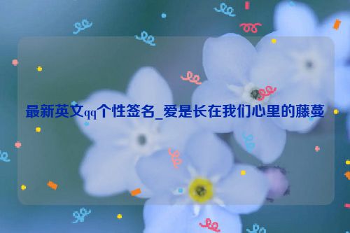 最新英文qq个性签名_爱是长在我们心里的藤蔓
