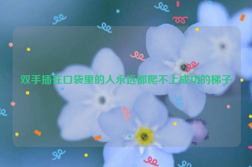 双手插在口袋里的人永远都爬不上成功的梯子
