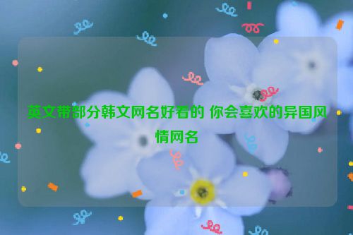 英文带部分韩文网名好看的 你会喜欢的异国风情网名