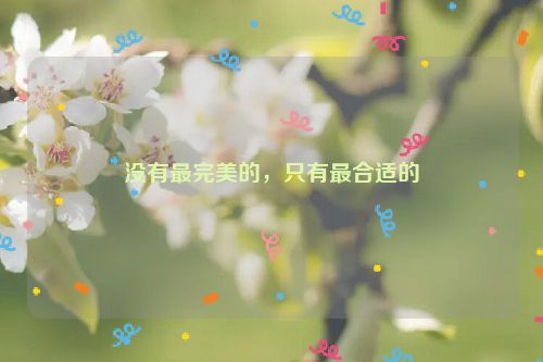没有最完美的，只有最合适的