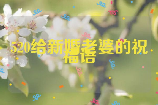 520给新婚老婆的祝福语