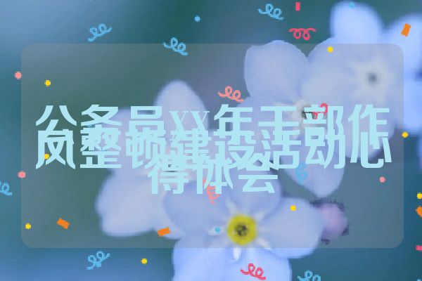 公务员XX年干部作风整顿建设活动心得体会