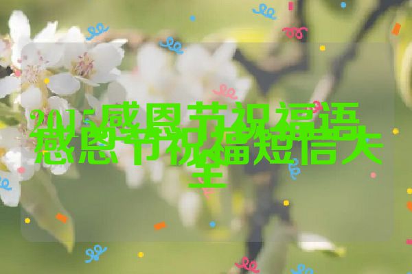 2015感恩节祝福语_感恩节祝福短信大全
