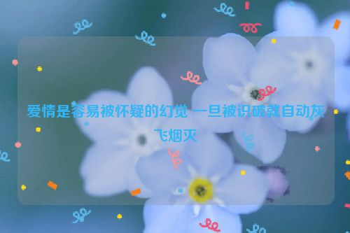 爱情是容易被怀疑的幻觉 一旦被识破就自动灰飞烟灭
