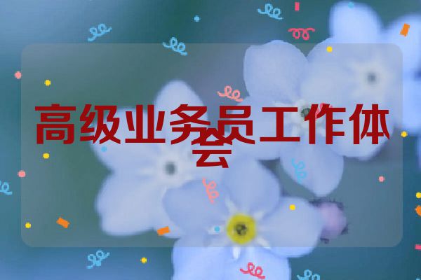 高级业务员工作体会