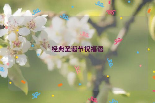 经典圣诞节祝福语