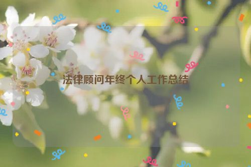 法律顾问年终个人工作总结